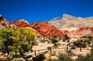 Red Rock Canyon, Nevada-3777